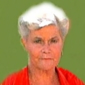 Joyce Ann Norris