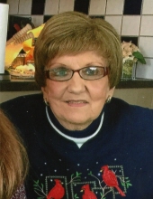 Phyllis Ann Sulkowski