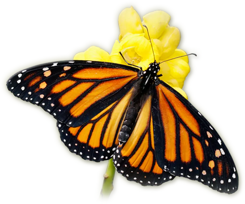 Timothy P. Doyle Funeral Home | Poughkeepsie, NY