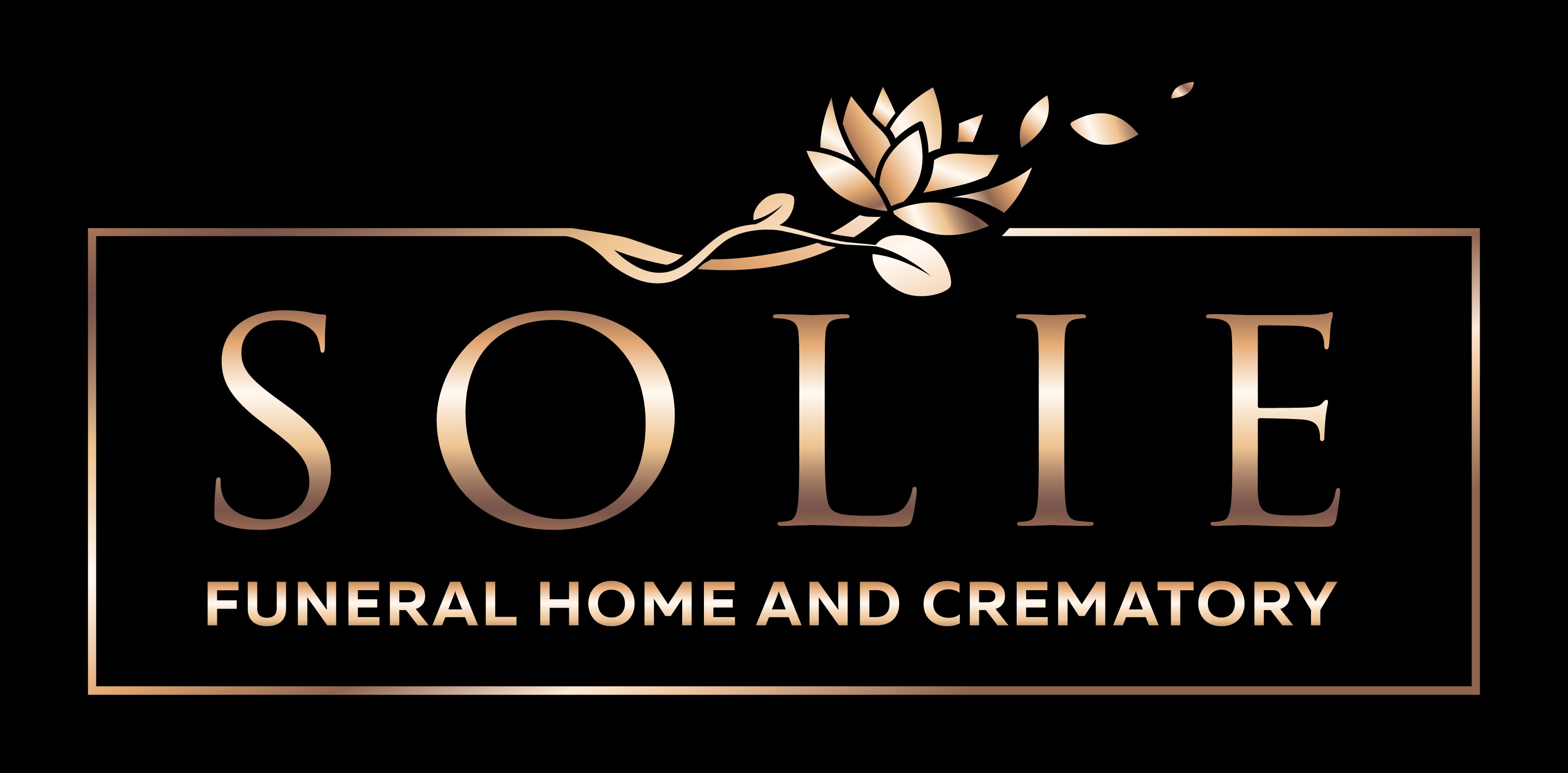 Everett Funeral Home Natick Ma - elv6oz5
