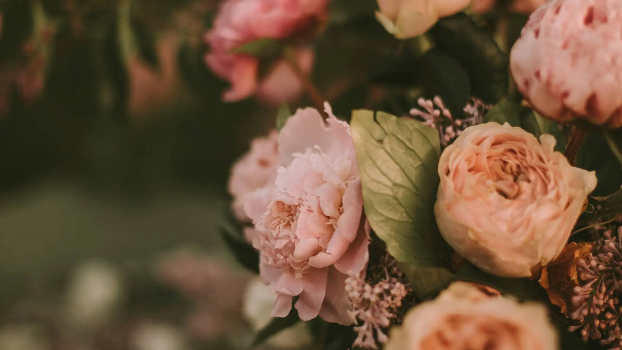 Hamilton Funeral Home Keeseville, Mooers, Peru NY