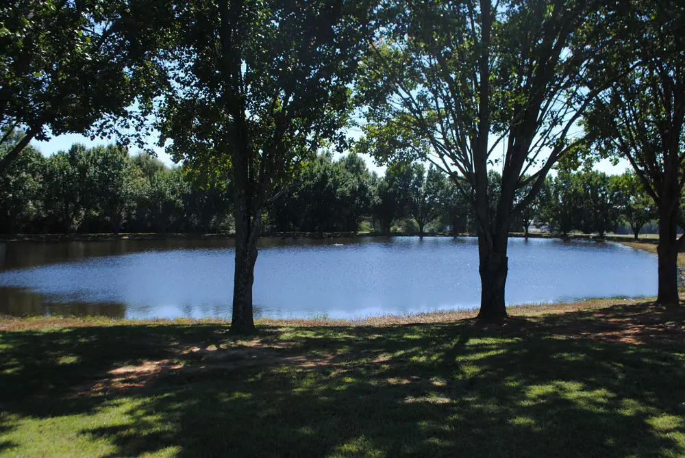 Baumgartner Funeral Home & Greenlawn Memorial Park