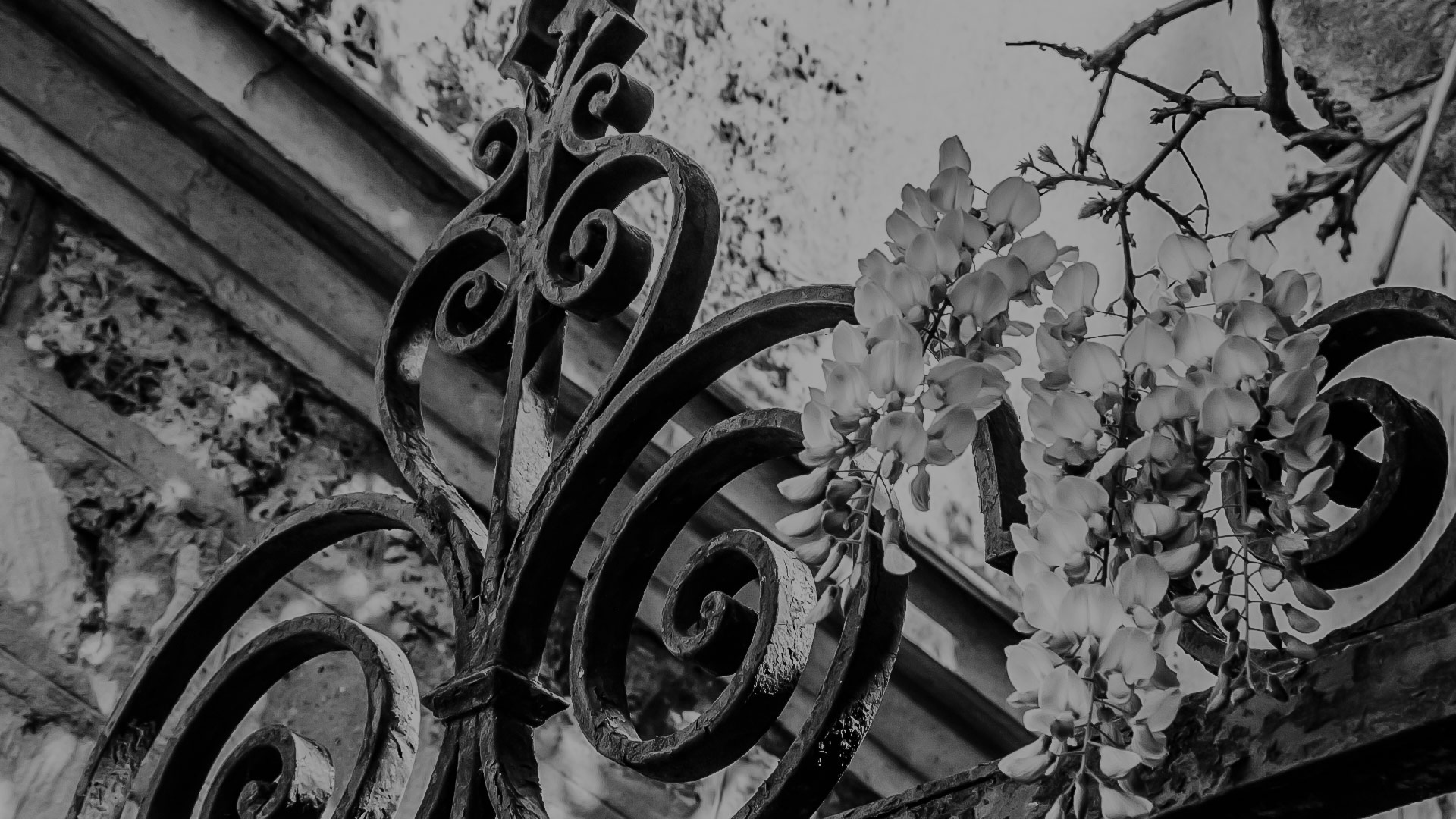 Kahlert Funerals & Cremations | Maysville, NC