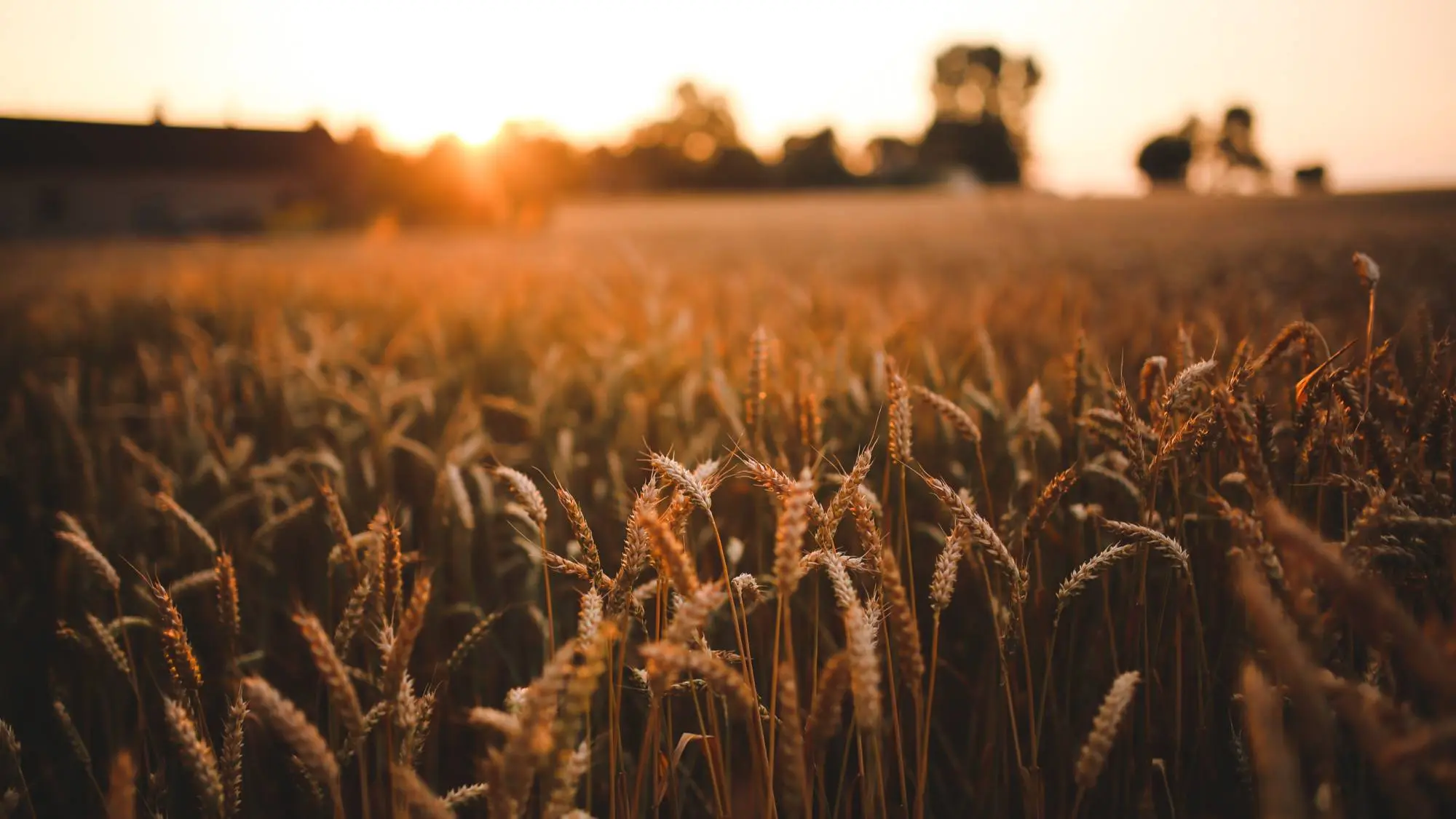 Walter E. Baird & Sons Funeral Home, Inc. Wayland, NY