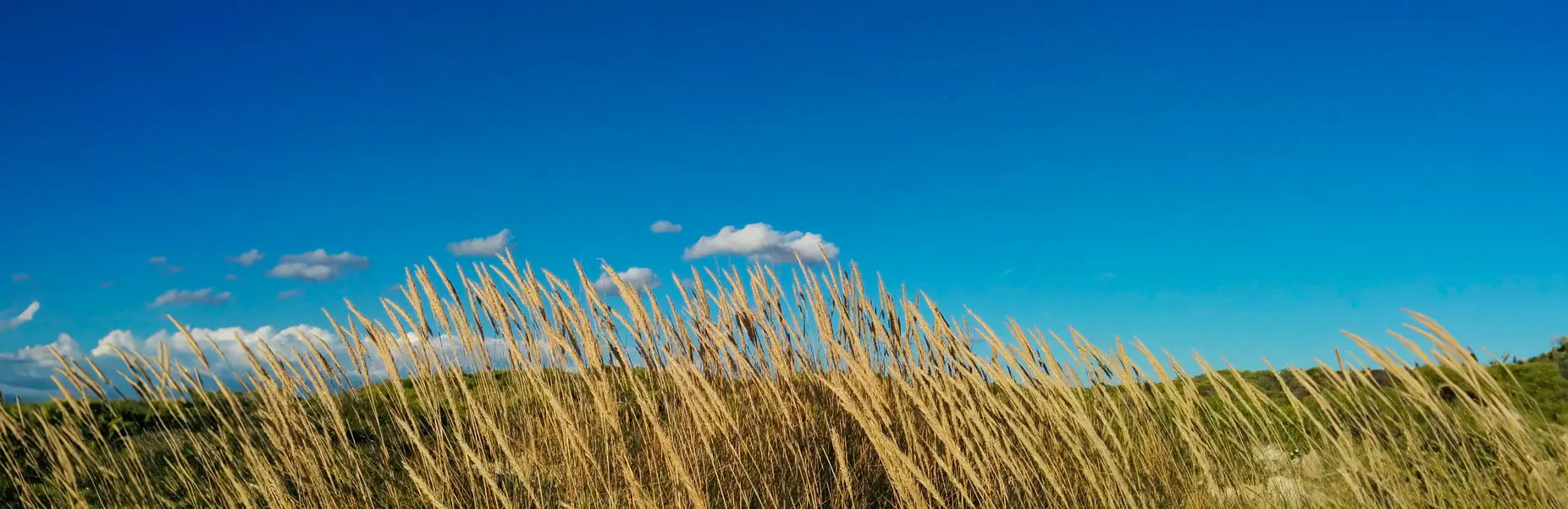 CrickChristians Funeral Home KS