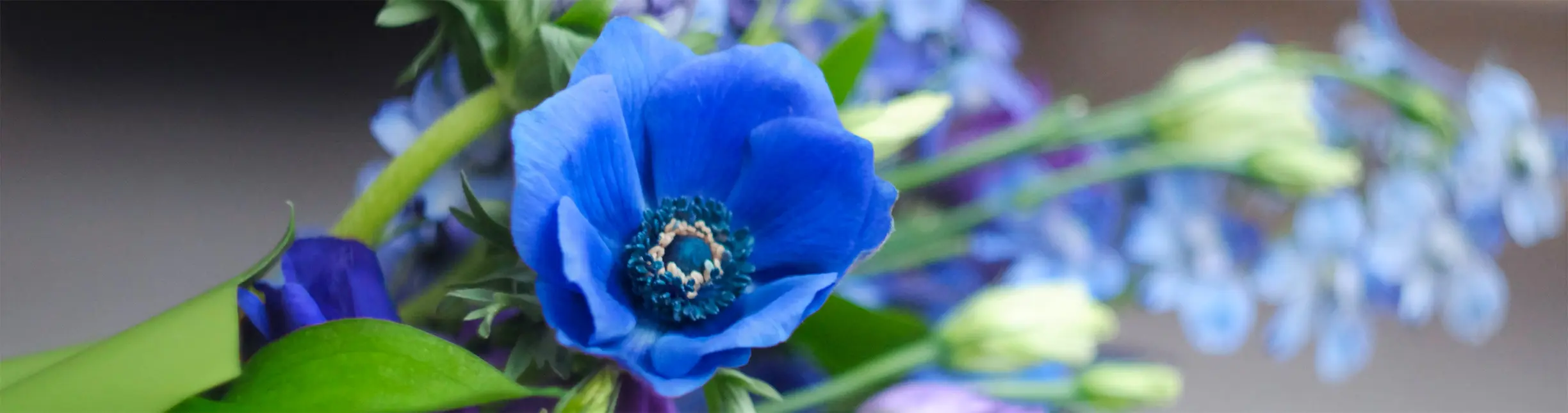 CrickChristians Funeral Home KS