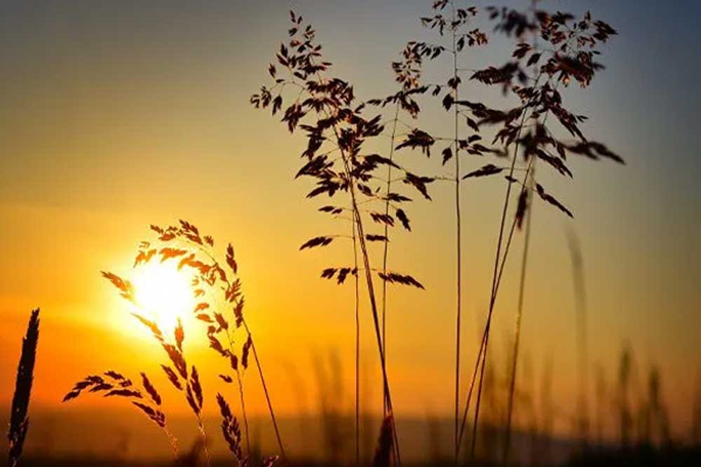 Bowers Funeral Home ME Funeral Homes