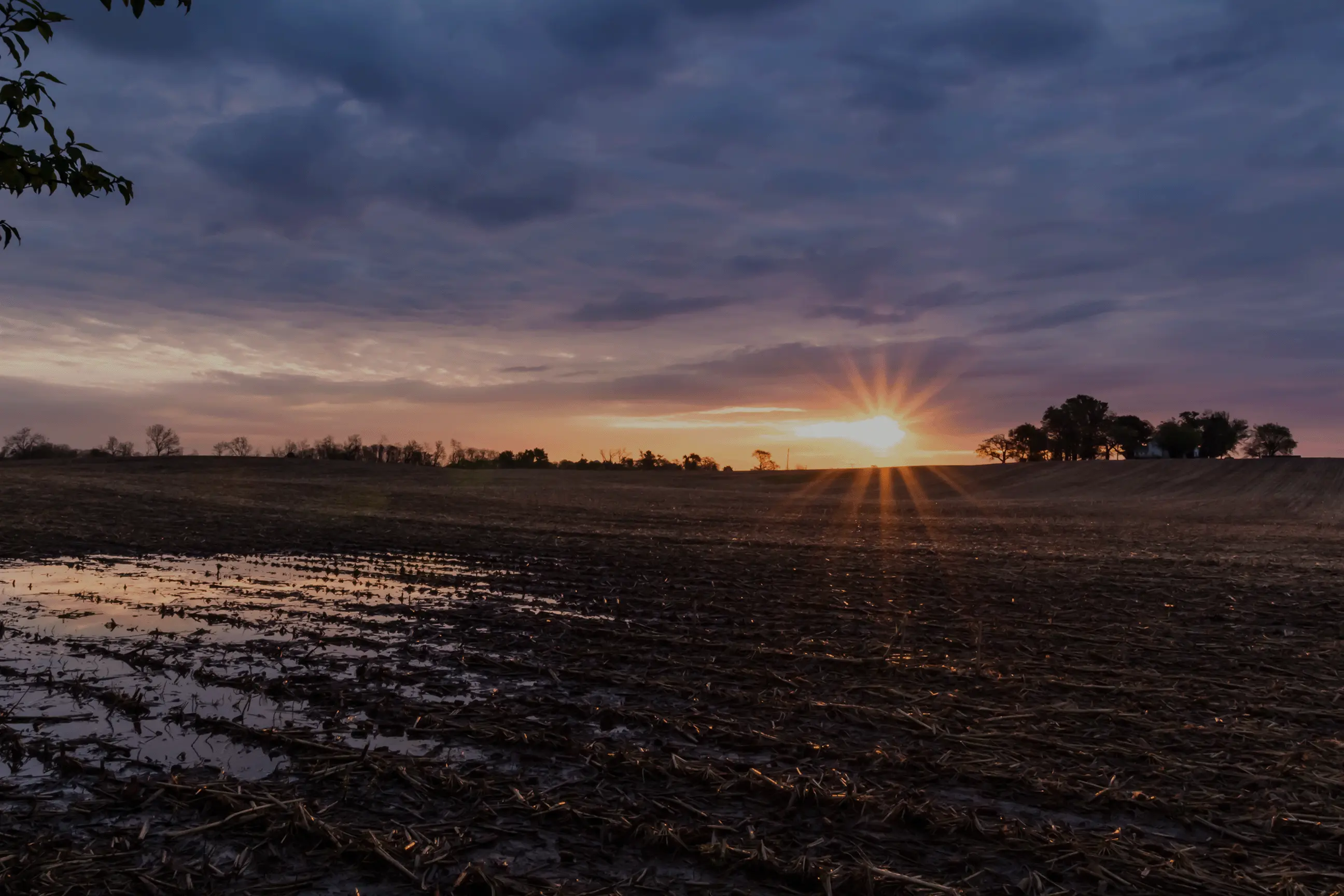 Houser Millard Jefferson City Mo Obituaries - olsmplm