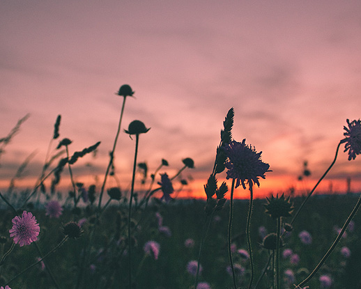 Funeral Home in Webster, NY | Anthony Funeral & Cremation