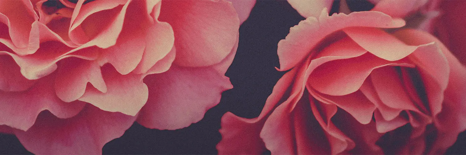 Rose Simplicity Crem and Funeral Center | Mercer PA funeral