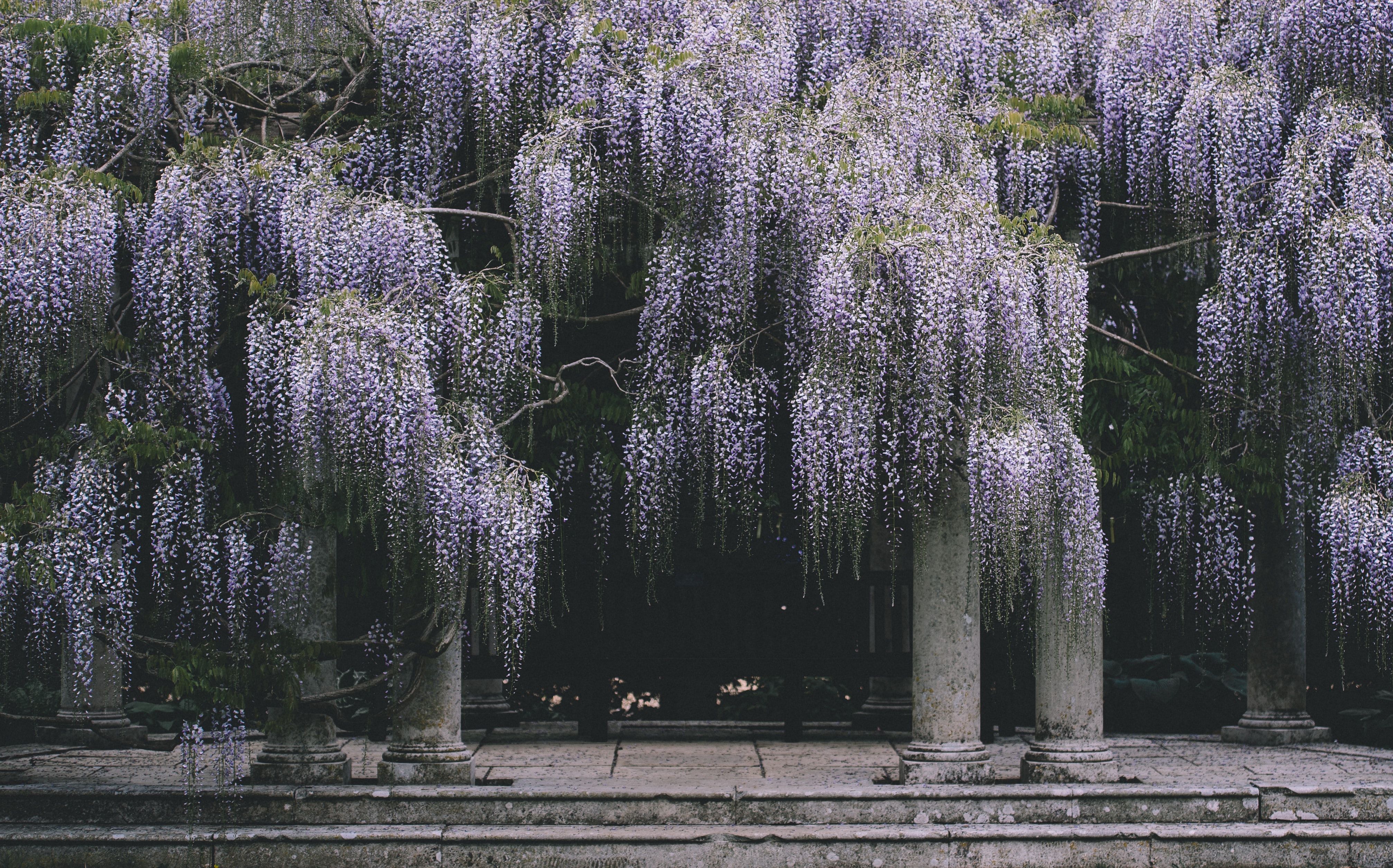 brust funeral home illinois