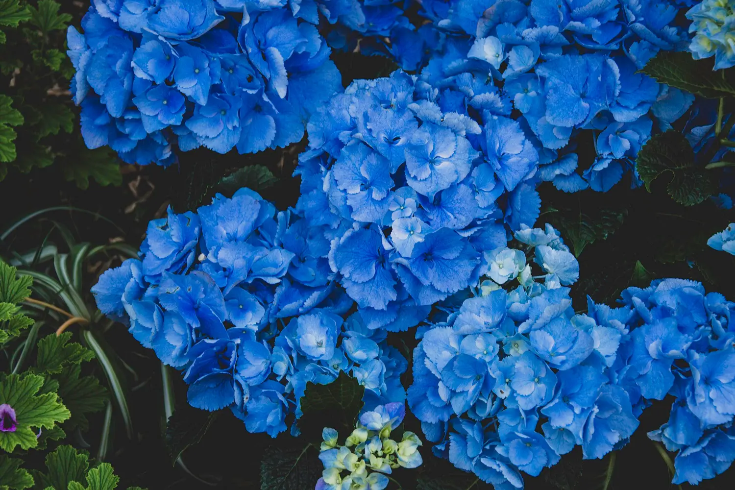 Walker Funeral Home Spanish Fork, UT Funeral Services