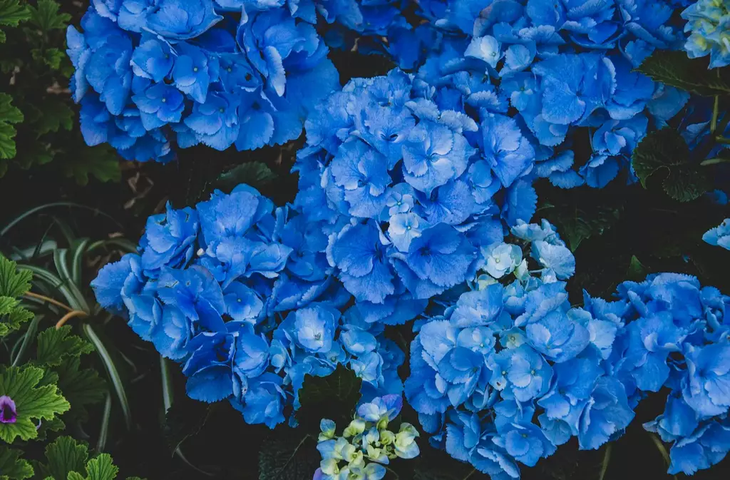 Walker Sanderson Funeral Home & Crematory