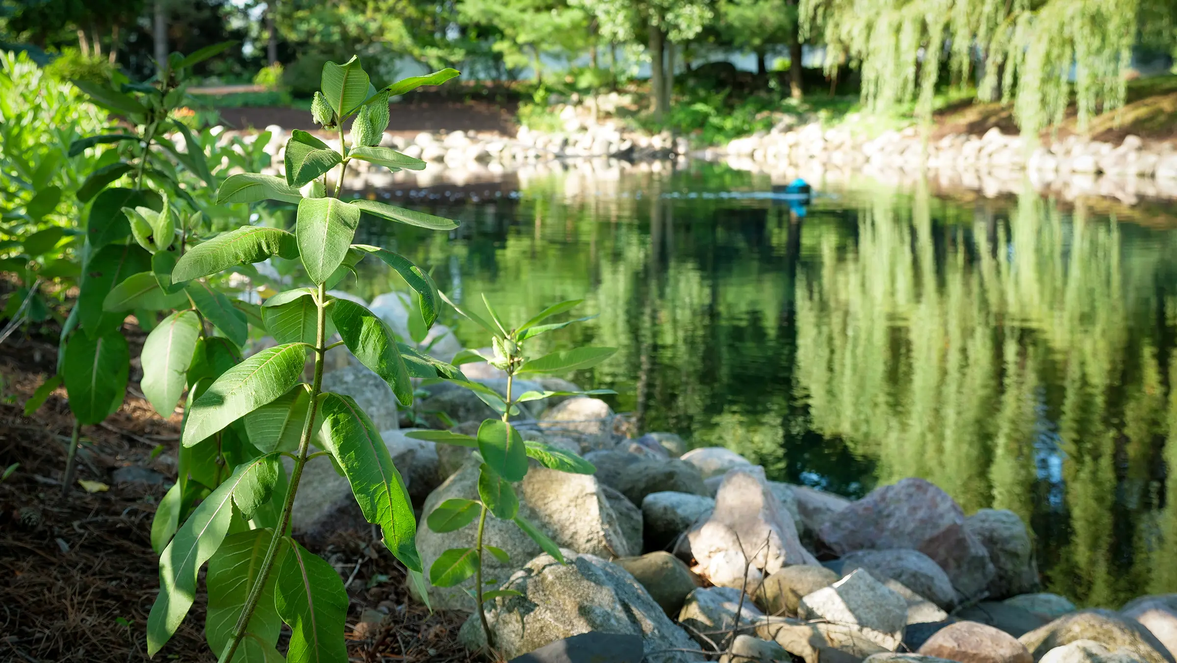 Clark Family Facilities