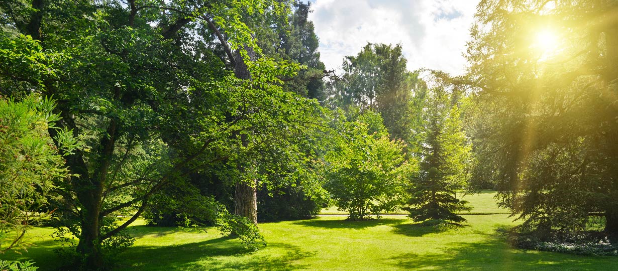 OaksHines Funeral Home & Crematory Canton & Elmwood, IL