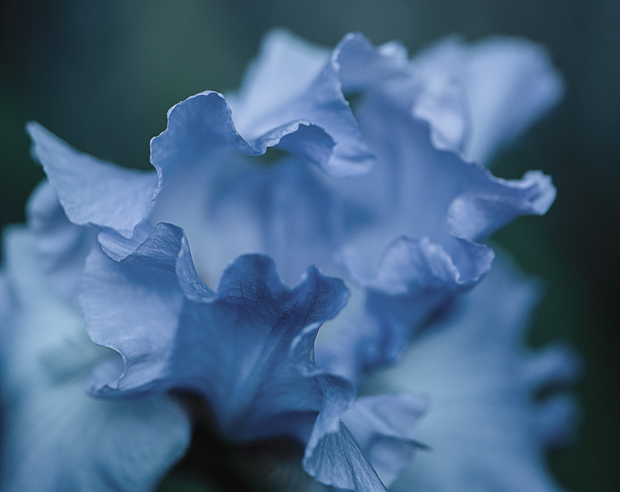 Hunt Irving Funeral Home | PA Funeral Home & Cremation