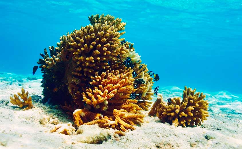 The Unity Mortuary Anderson and Williamston, SC