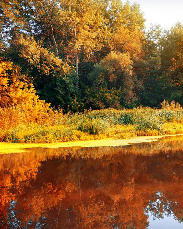 Cheney Funeral Home Proudly serving Phelps, New York