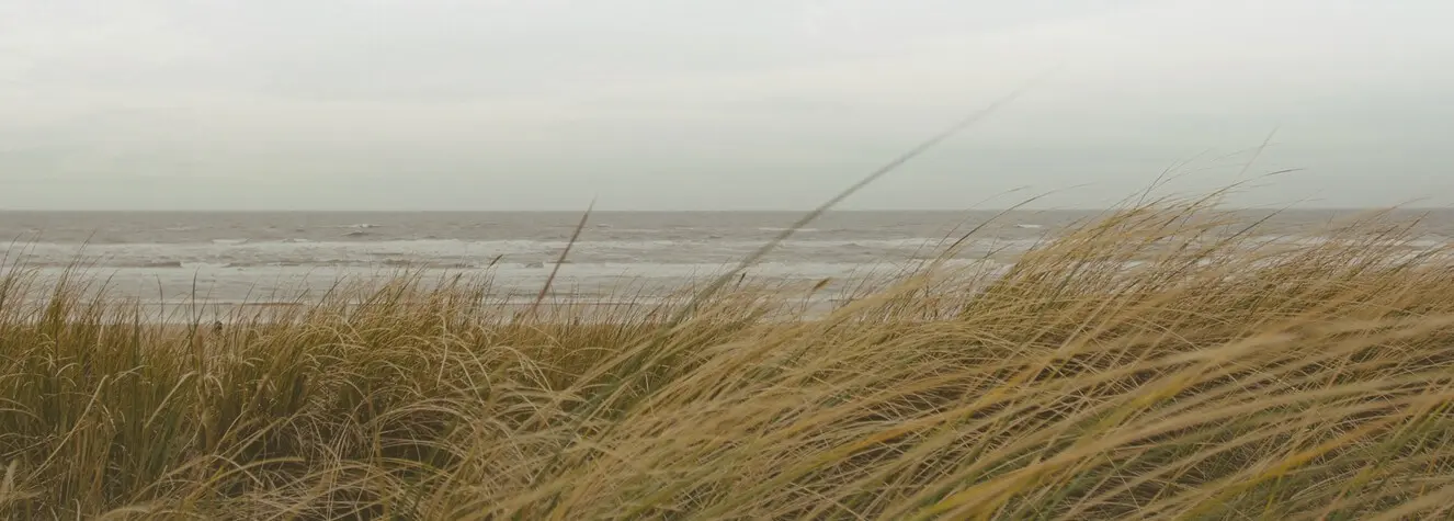 All County Funeral Home And Crematory | Lake Worth, FL