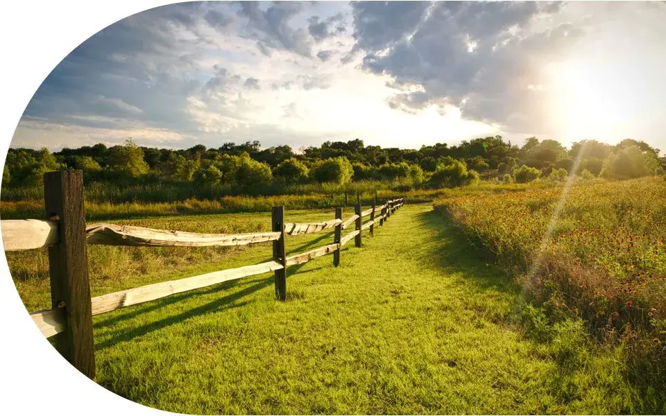 Kyle Texas Funeral Home Harrell Funeral Homes