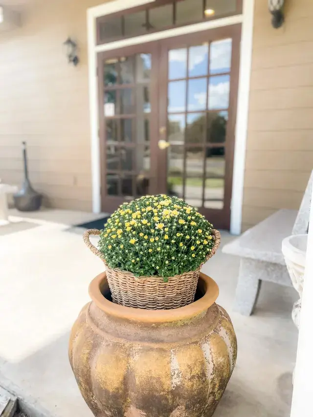 Kingsland Location Harrell Funeral Homes