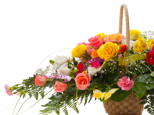 Austin-Peel & Son Funeral Home | Austin, TX