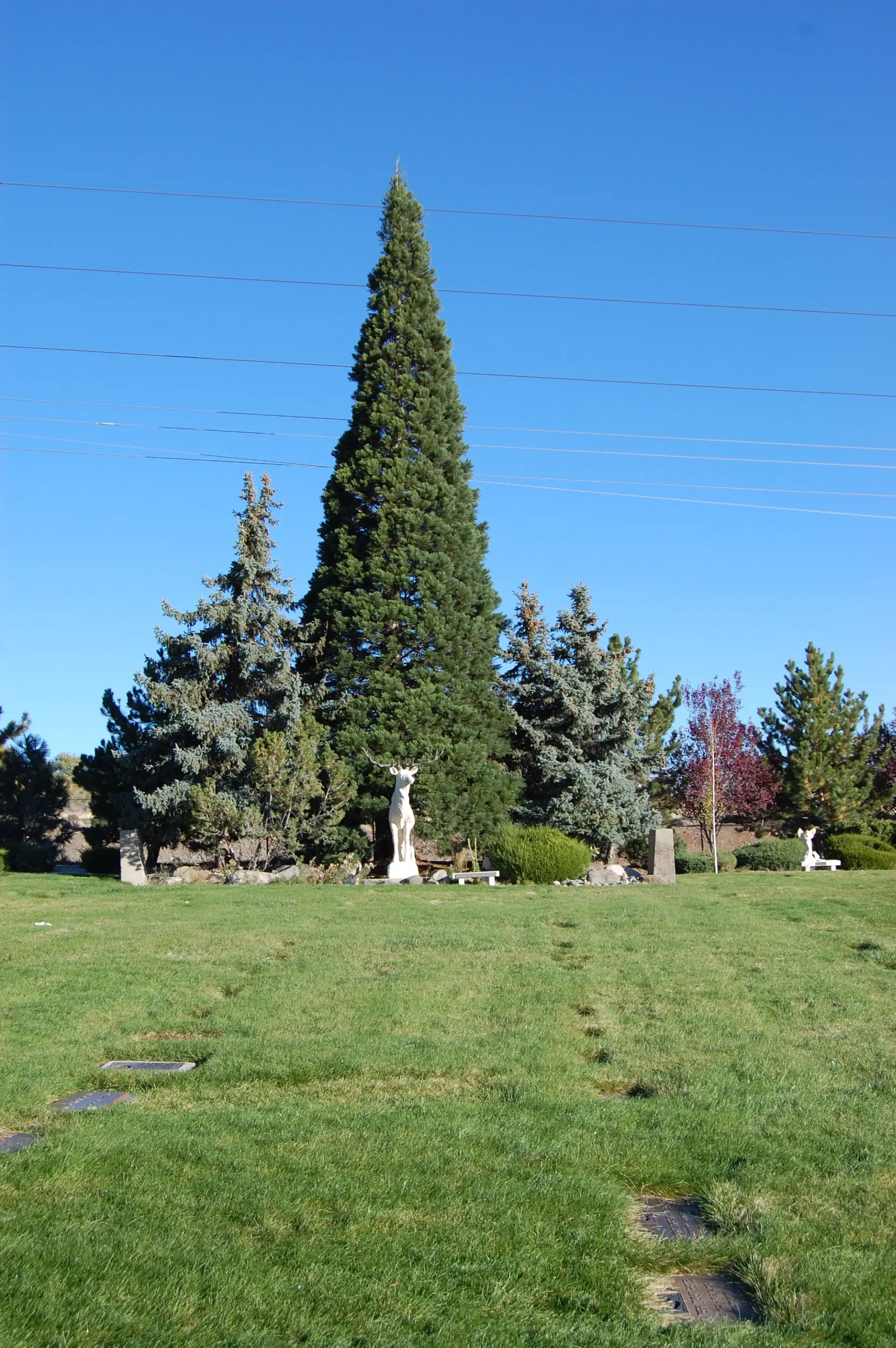 Burial Gardens Mountain View Cemetery