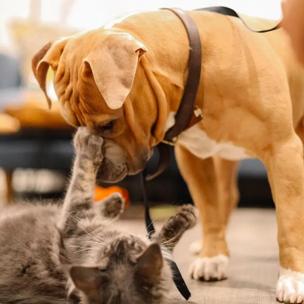 BakerHazel Snider Funeral Home Dayton, OH