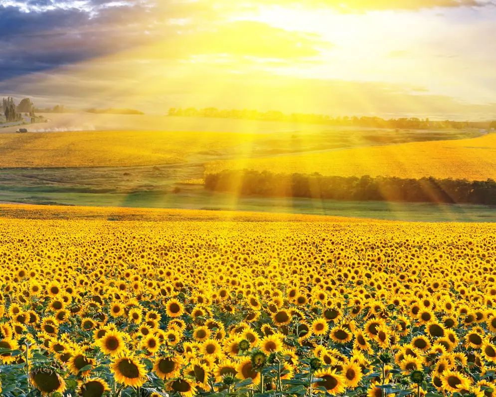 Kearns Funeral Home Whitehouse, NJ