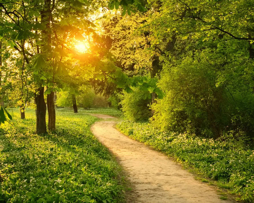 Kearns Funeral Home Whitehouse, NJ