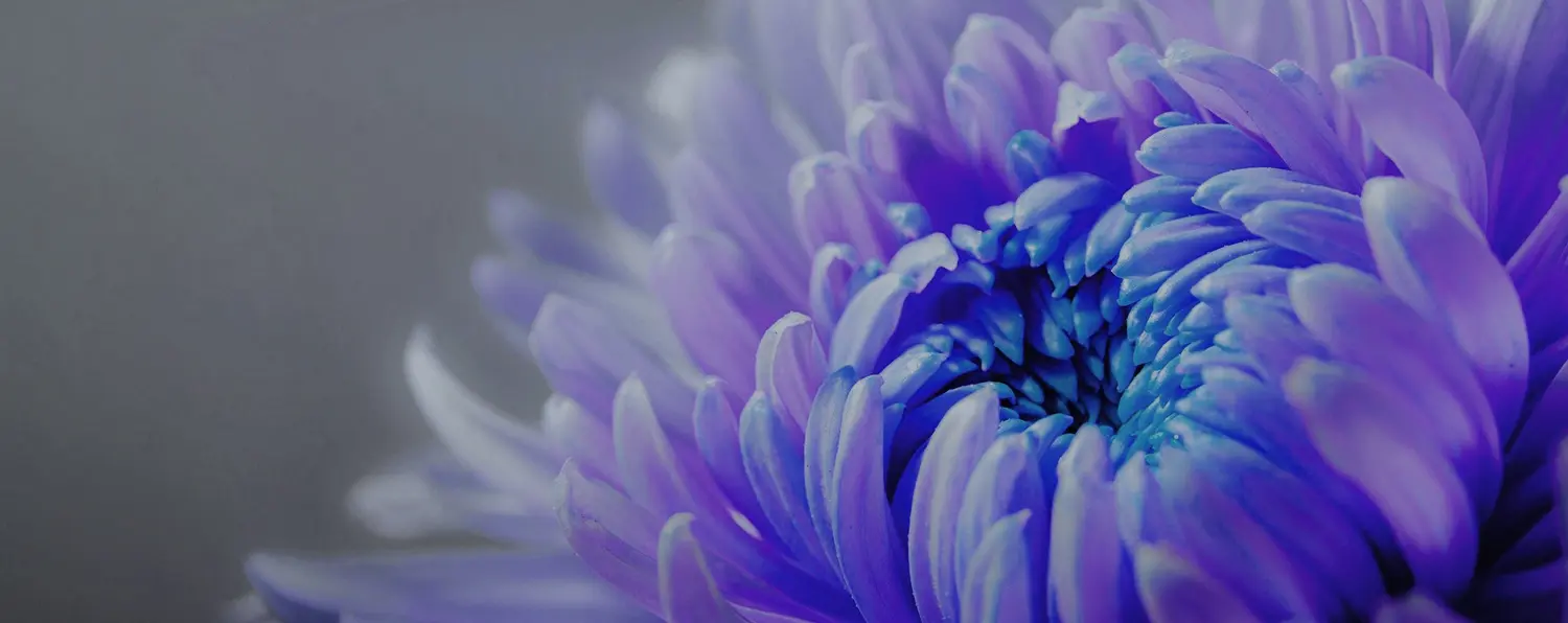 McCausland Garrity Marchesani Funeral Home Glenolden, PA