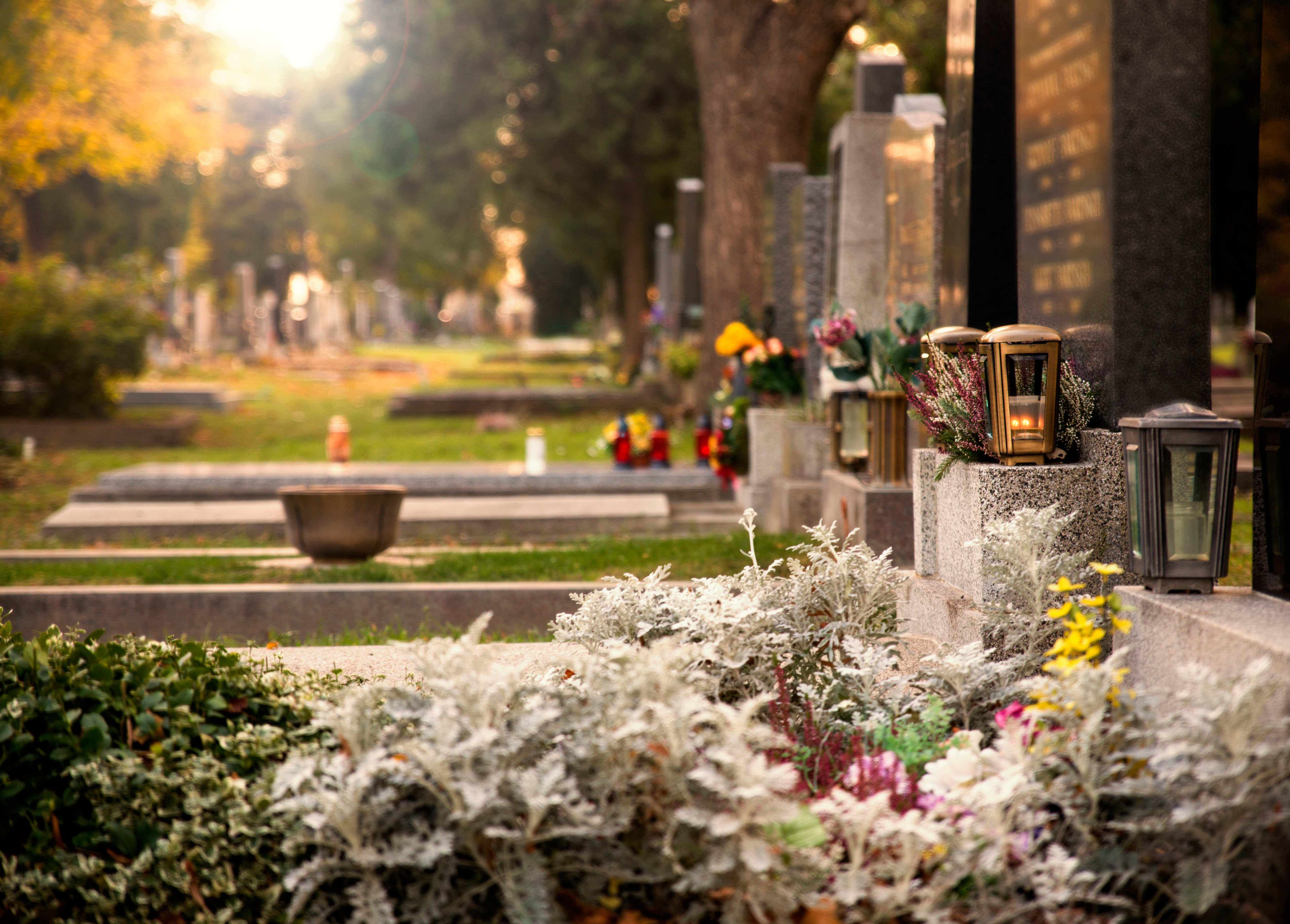 Willig Funeral Cremation Services