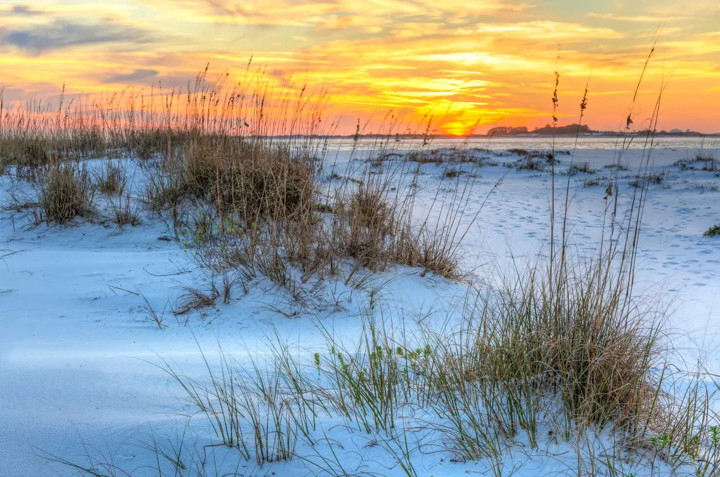 American Family Funerals & Cremations | Casselberry, FL