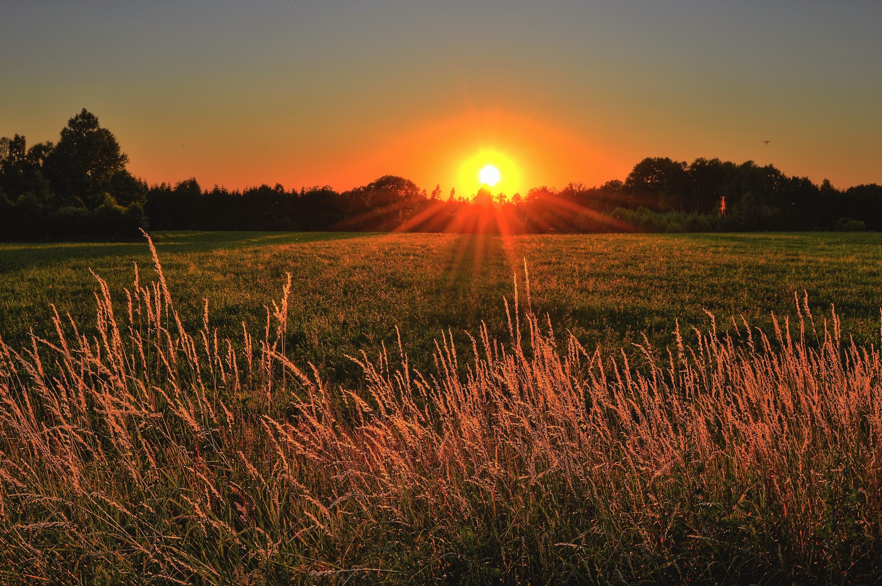 Apfel Funeral Home Obituaries - mp2gfmg