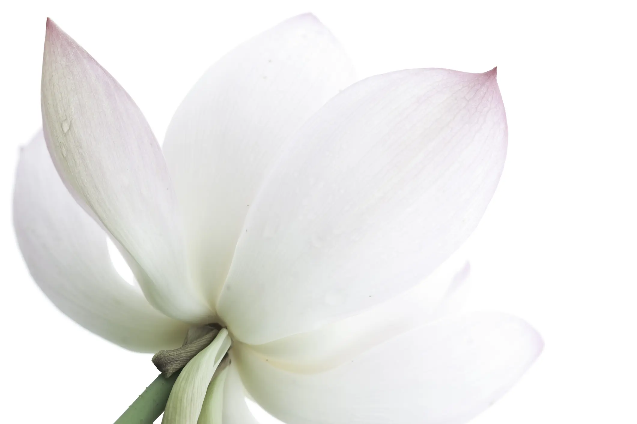 Tompkins Funeral Home | 63 Garden St. Gananoque