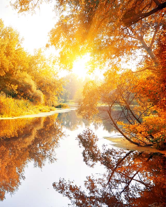 Flint Funeral Home Moira, NY