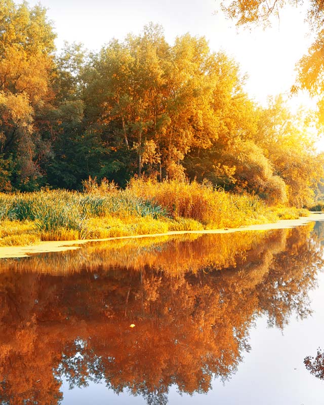 Flint Funeral Home Moira, NY