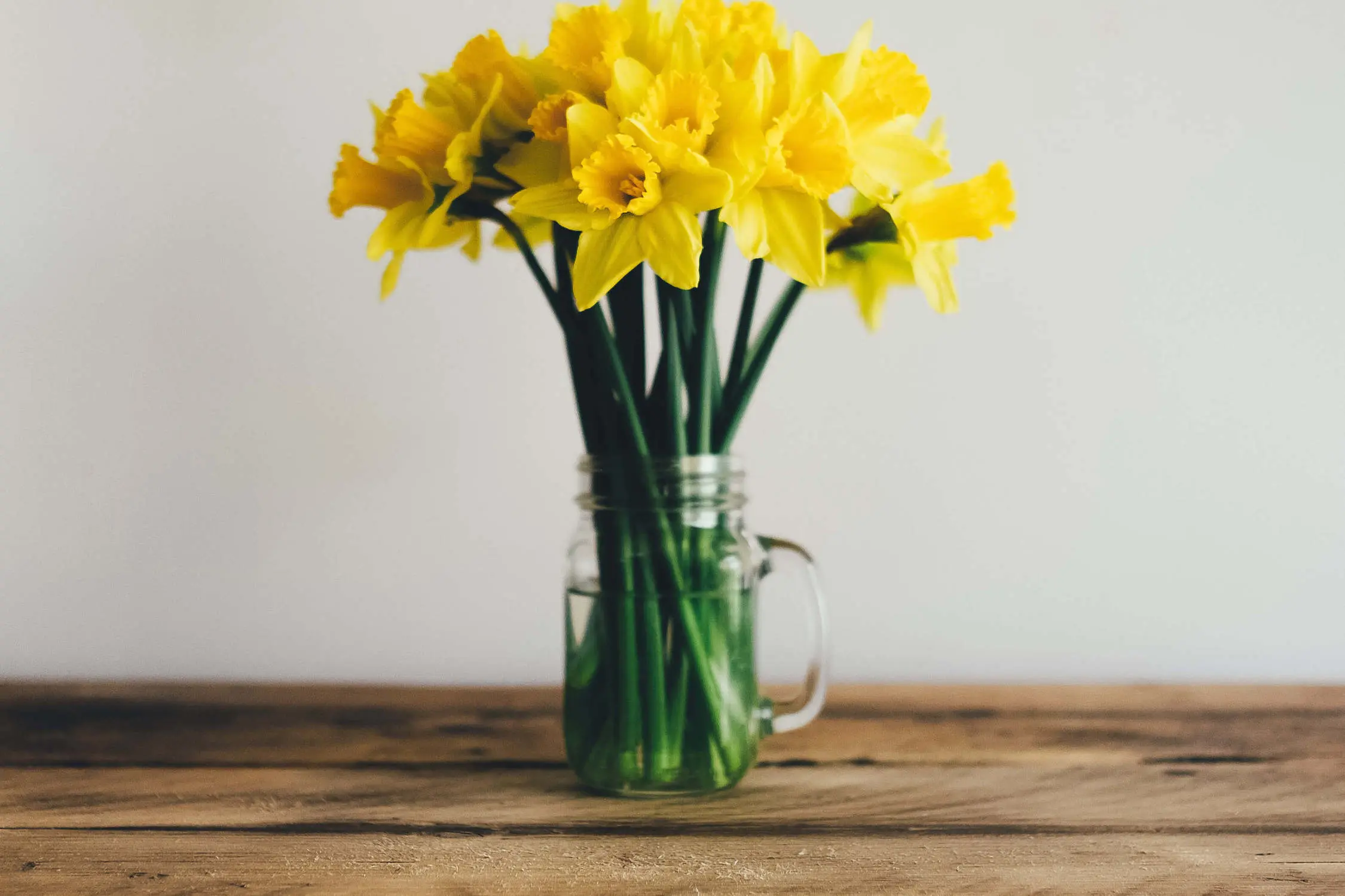 Herrmann Funeral Home Inc McCook & Cambridge, NE Funeral