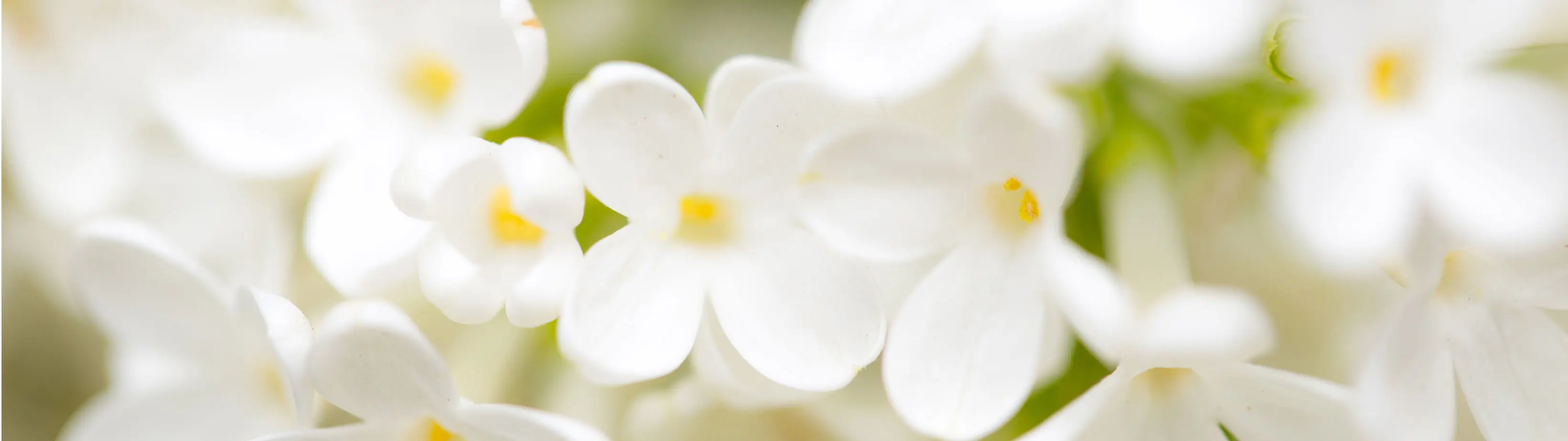 Clark & Giordano Funeral Home Yorktown Heights, NY