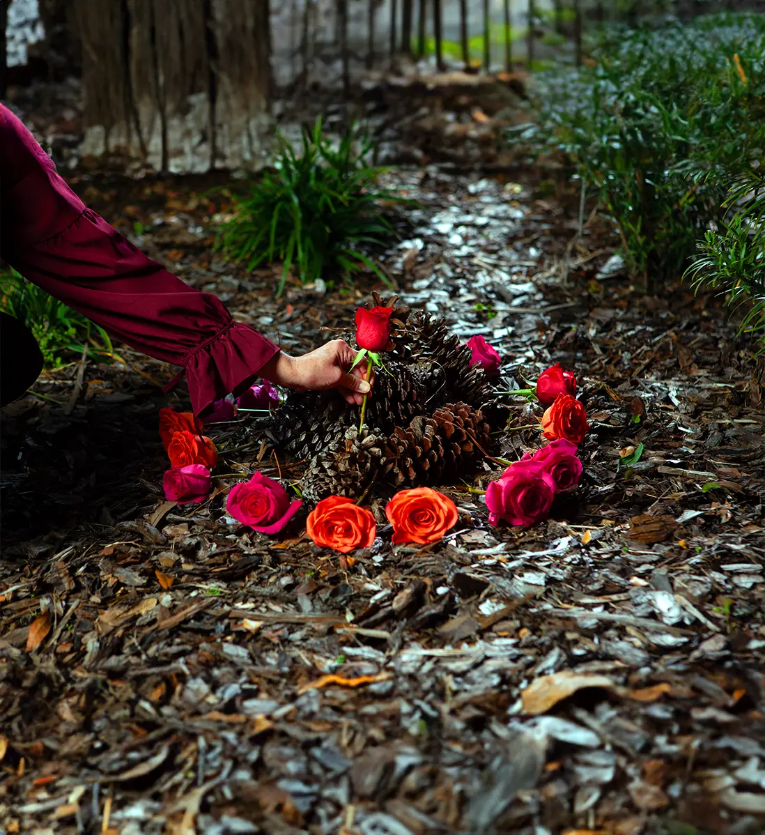 Green Burial | Joiner-Anderson Funeral Home