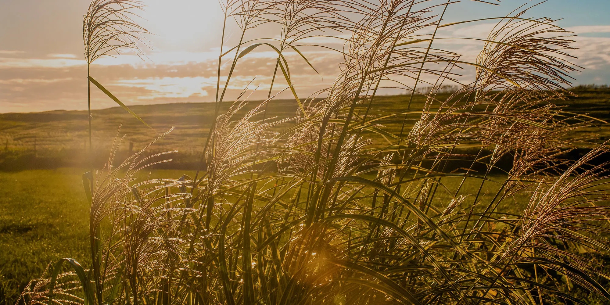 Kistler-Patterson Funeral Home | Clay City & Olney, IL Fu...