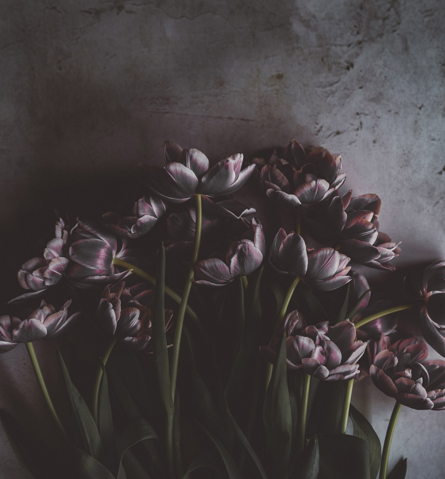 H.L. Cudney Funeral Home